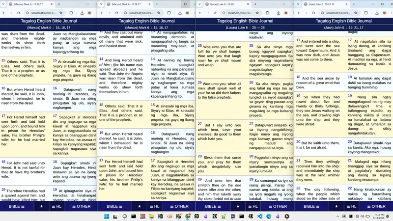 Four Bible Windows